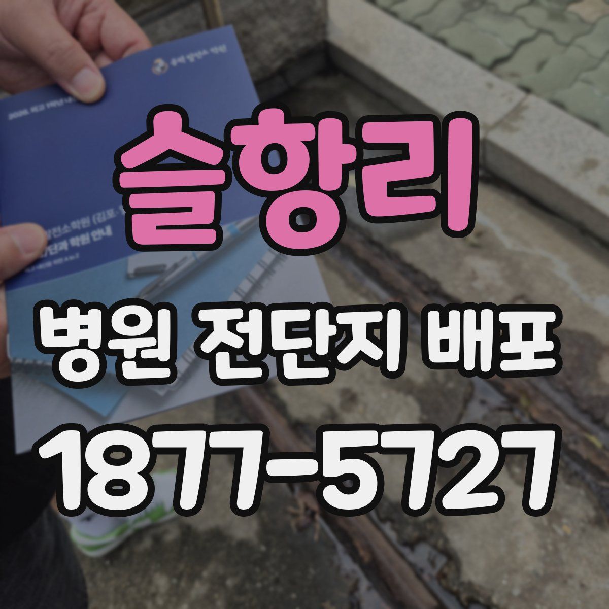 슬항리 병원 전단지 배포