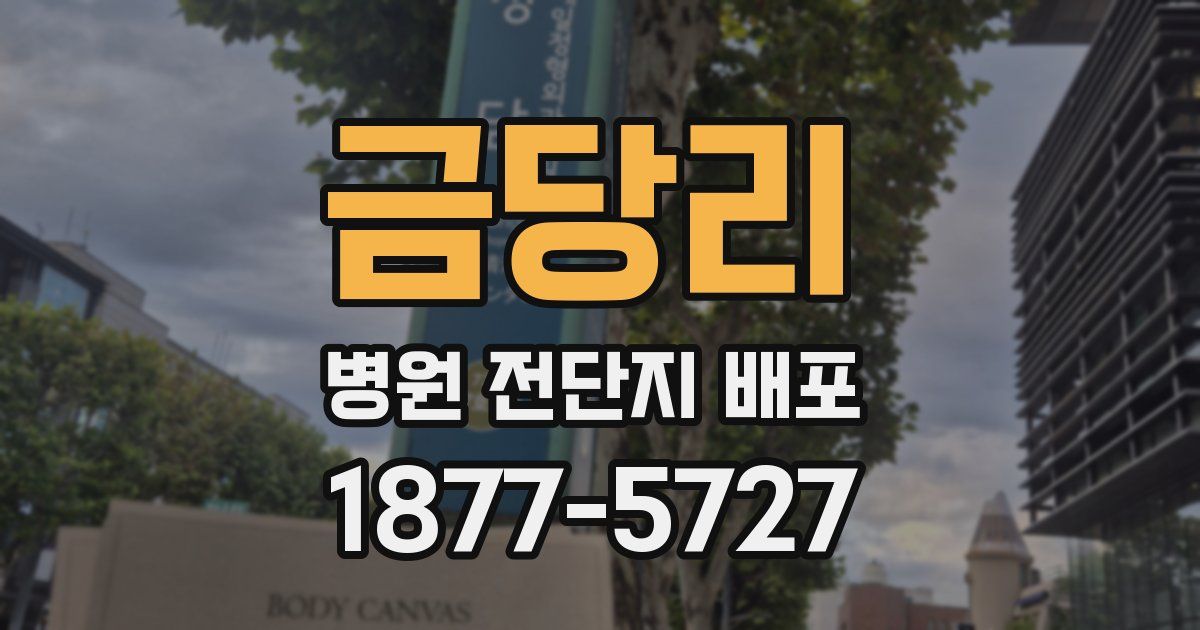 금당리 병원 전단지 배포