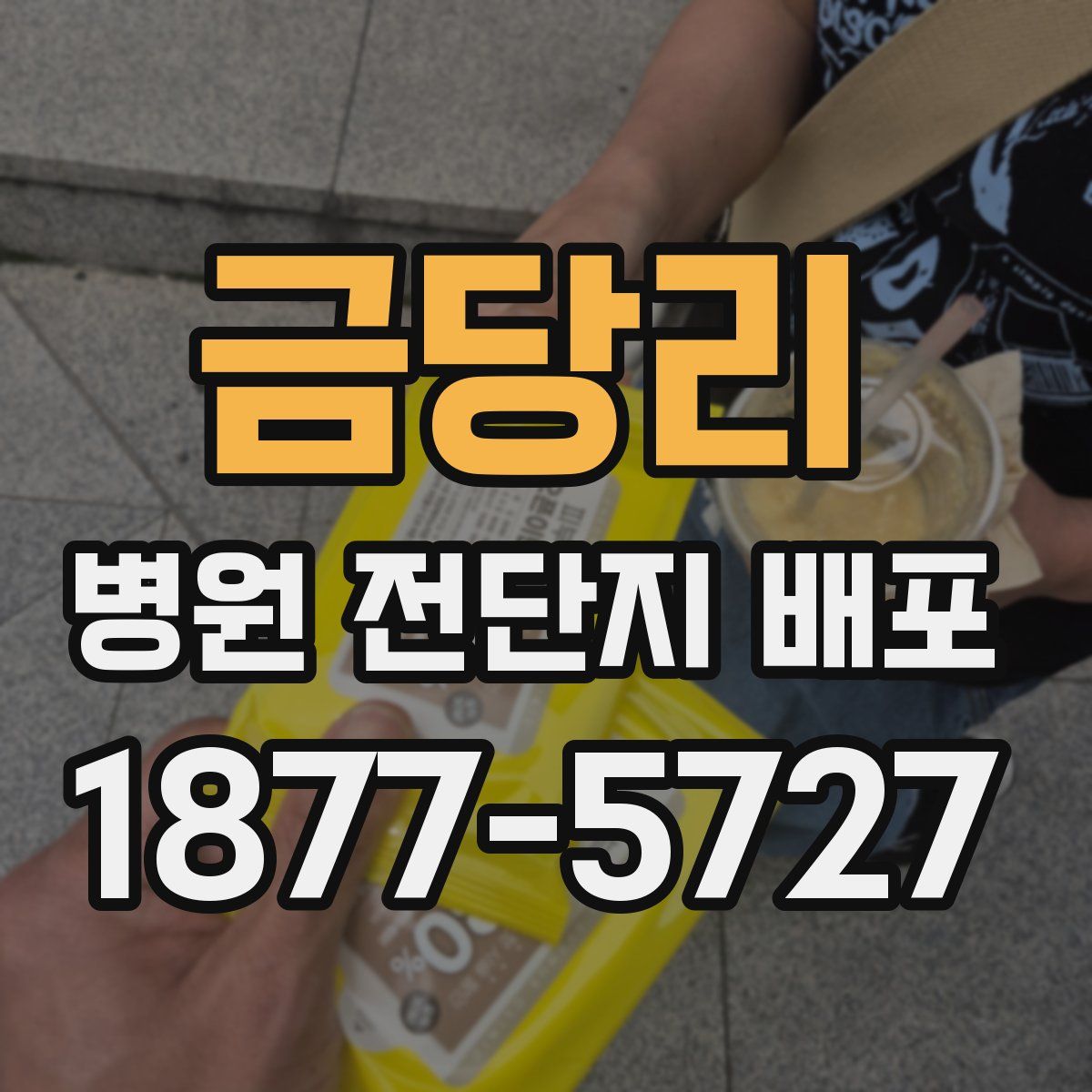금당리 병원 전단지 배포
