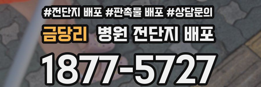 금당리 병원 전단지 배포