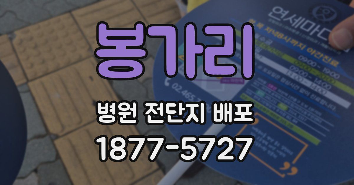 봉가리 병원 전단지 배포