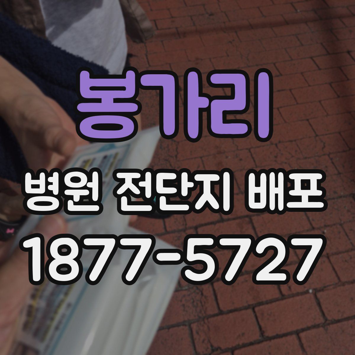 봉가리 병원 전단지 배포