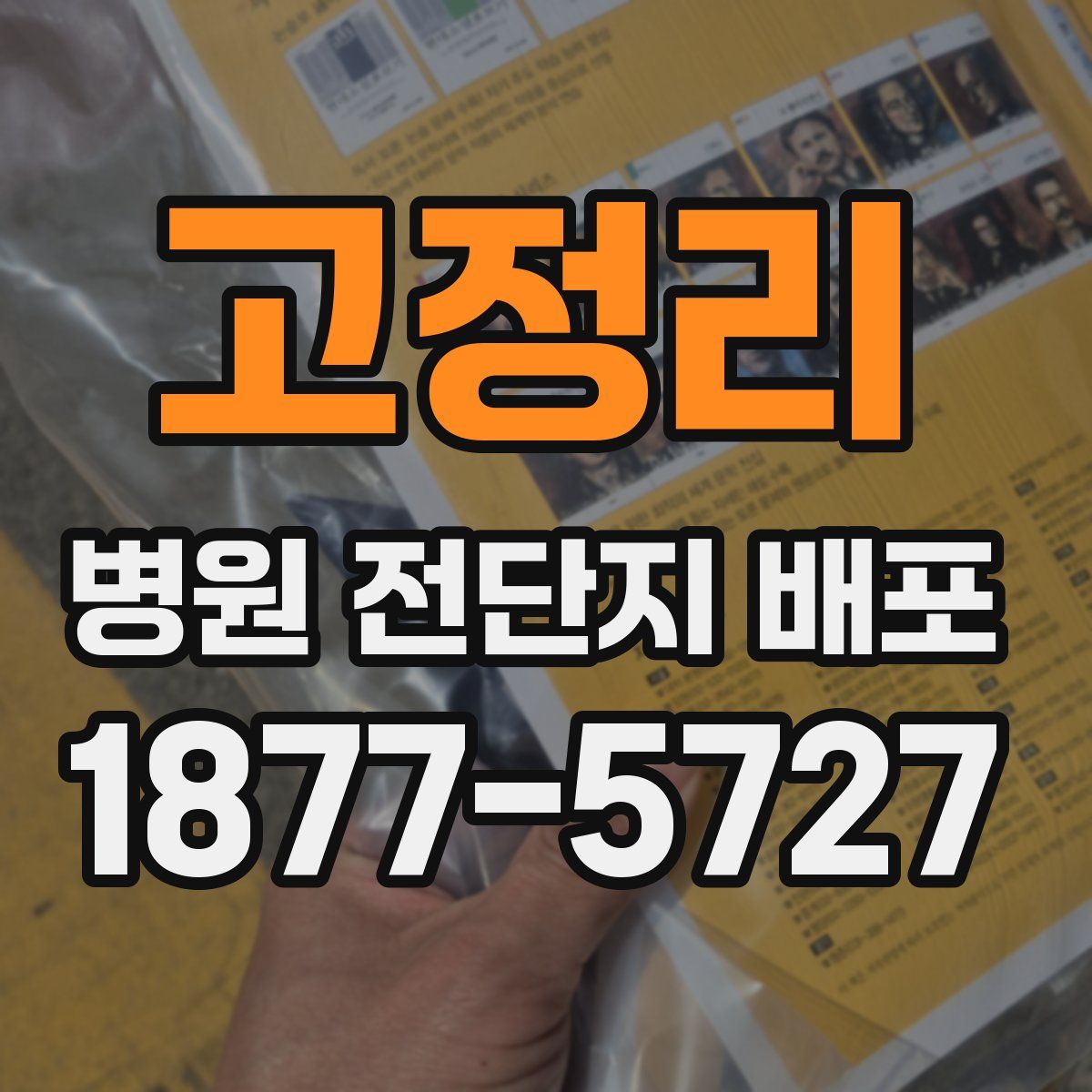 고정리 병원 전단지 배포