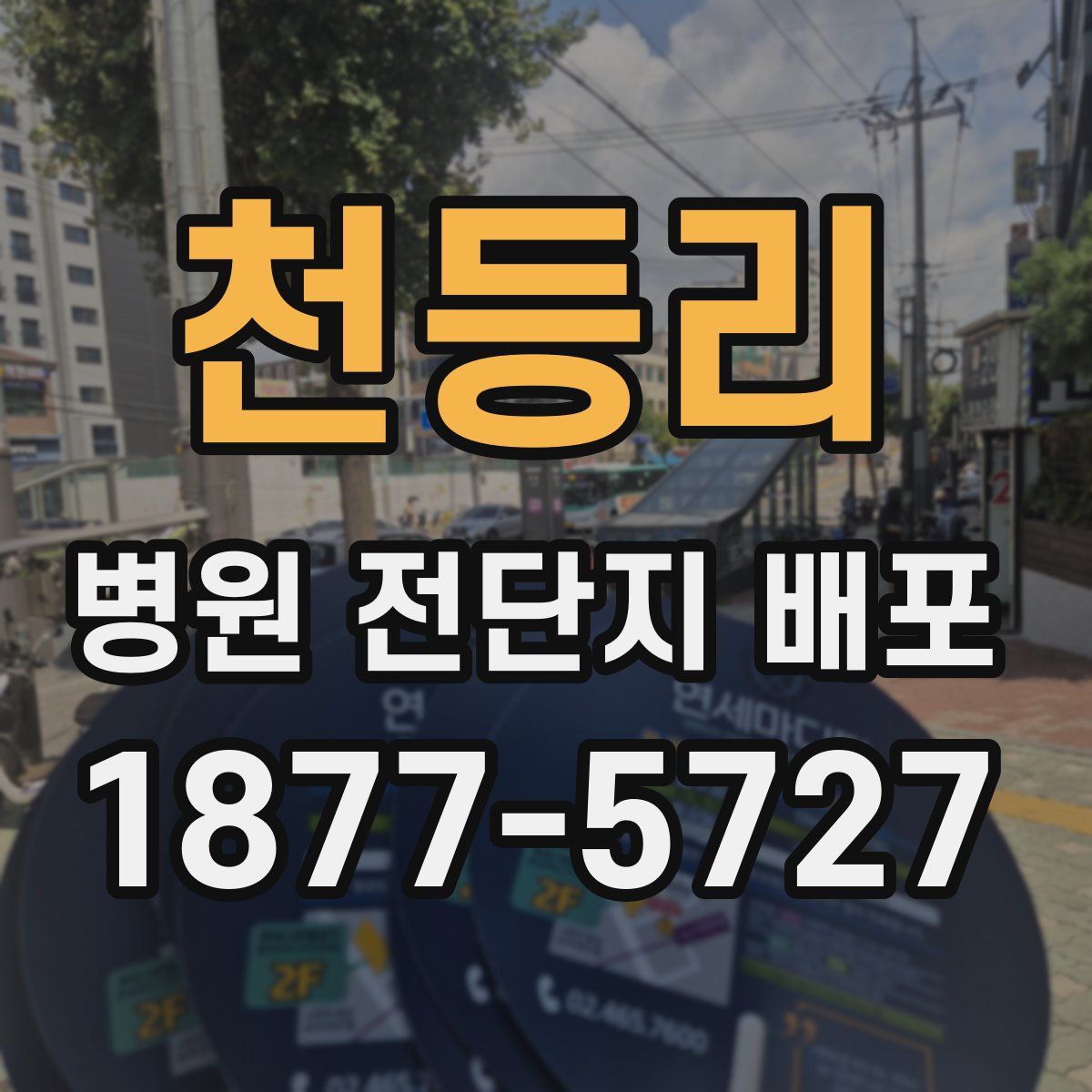 천등리 병원 전단지 배포