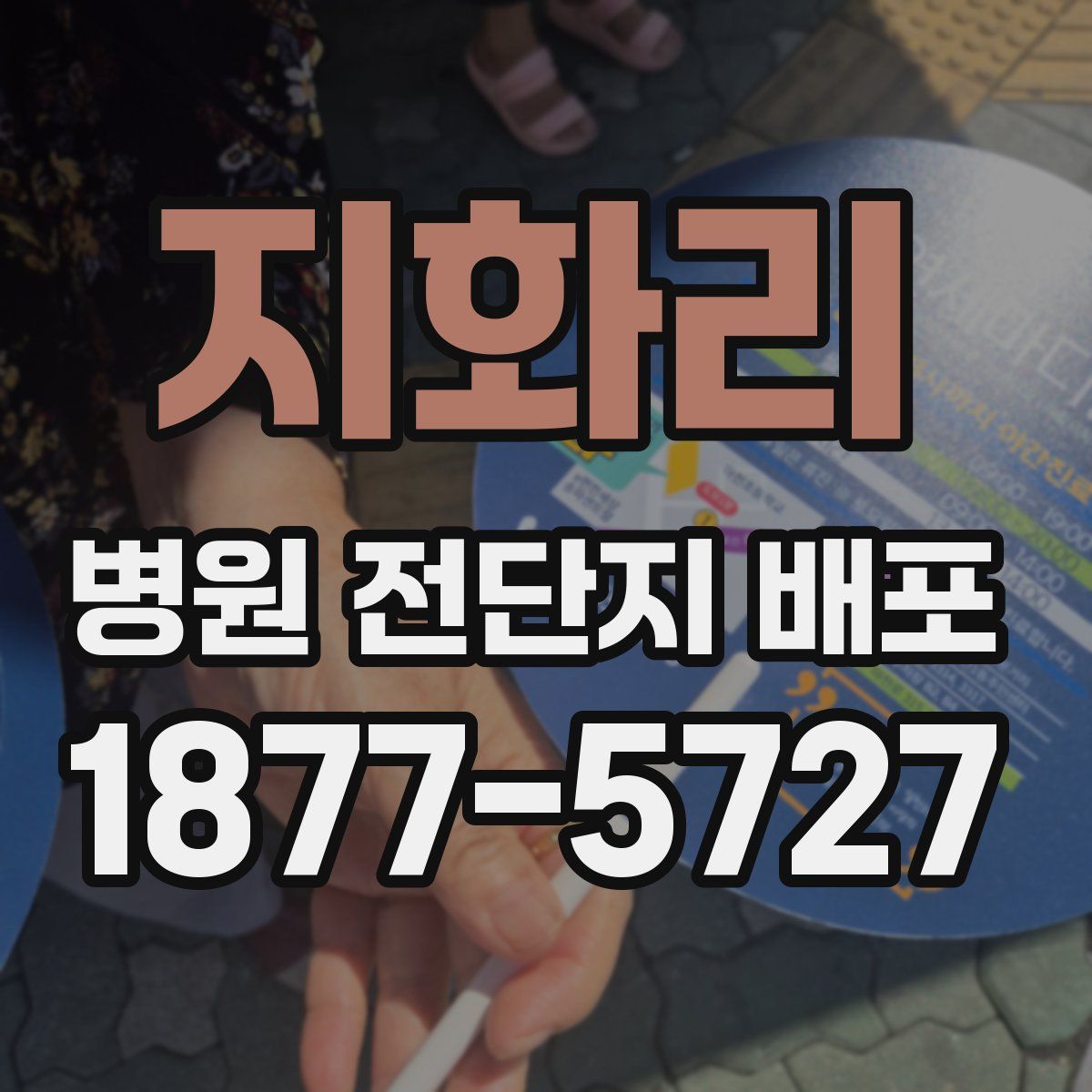 지화리 병원 전단지 배포