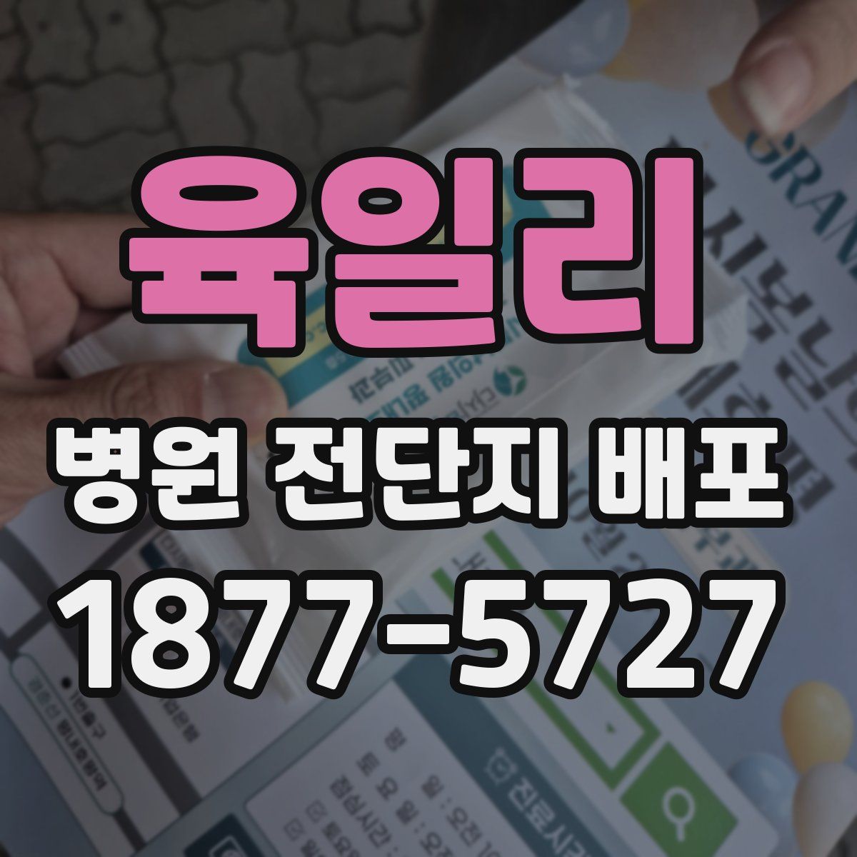 육일리 병원 전단지 배포