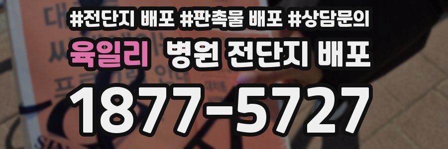 육일리 병원 전단지 배포