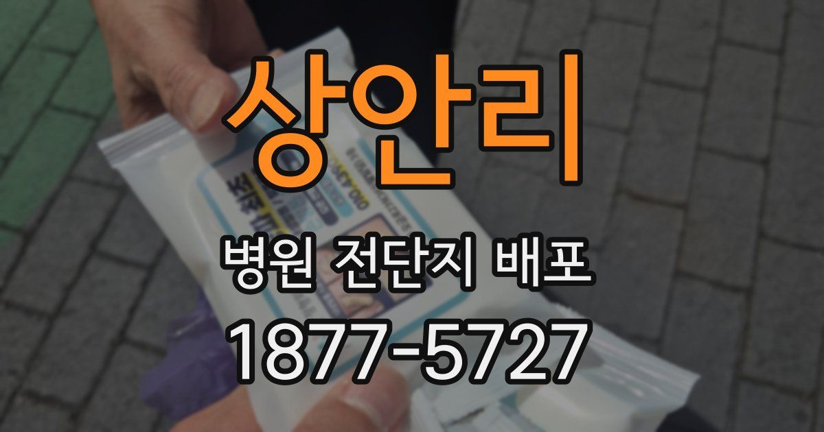 상안리 병원 전단지 배포