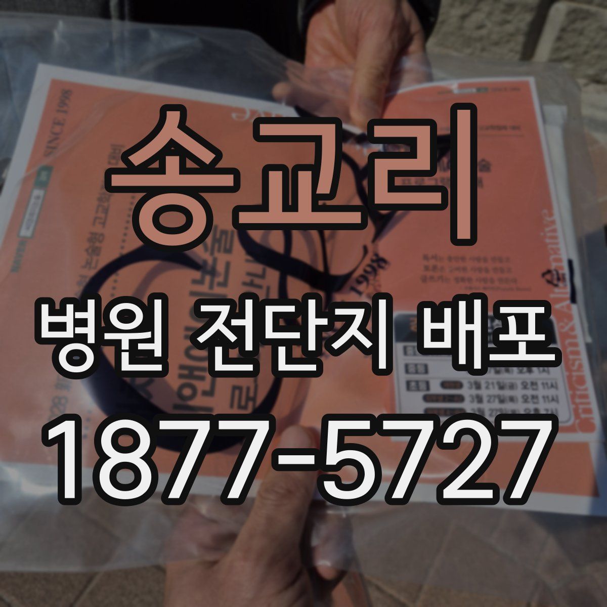 송교리 병원 전단지 배포