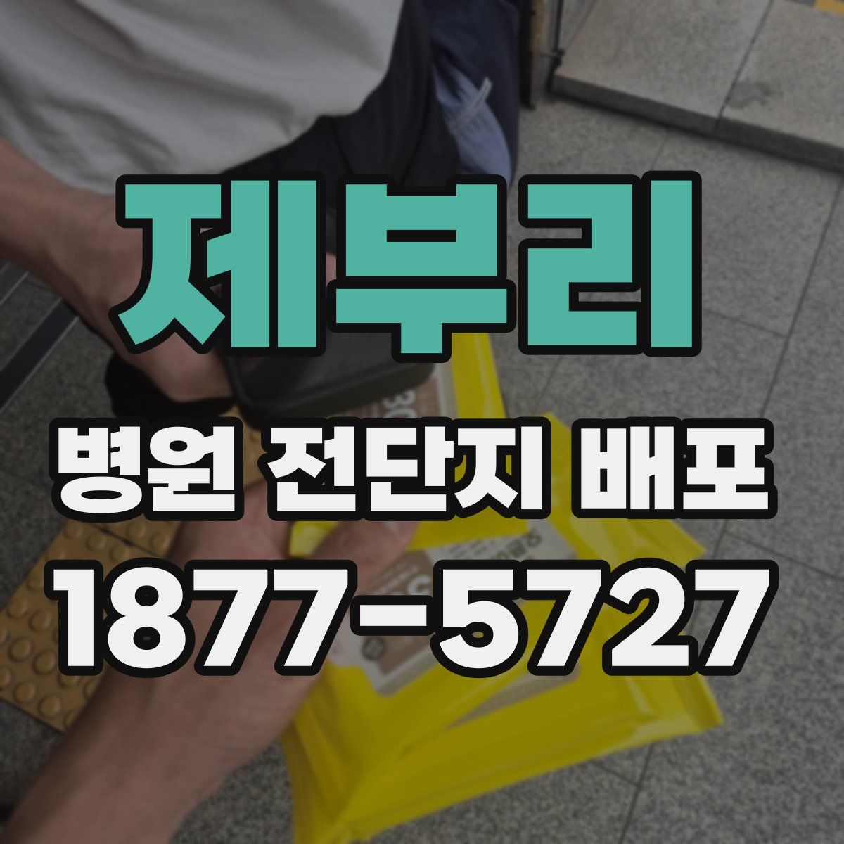 제부리 병원 전단지 배포