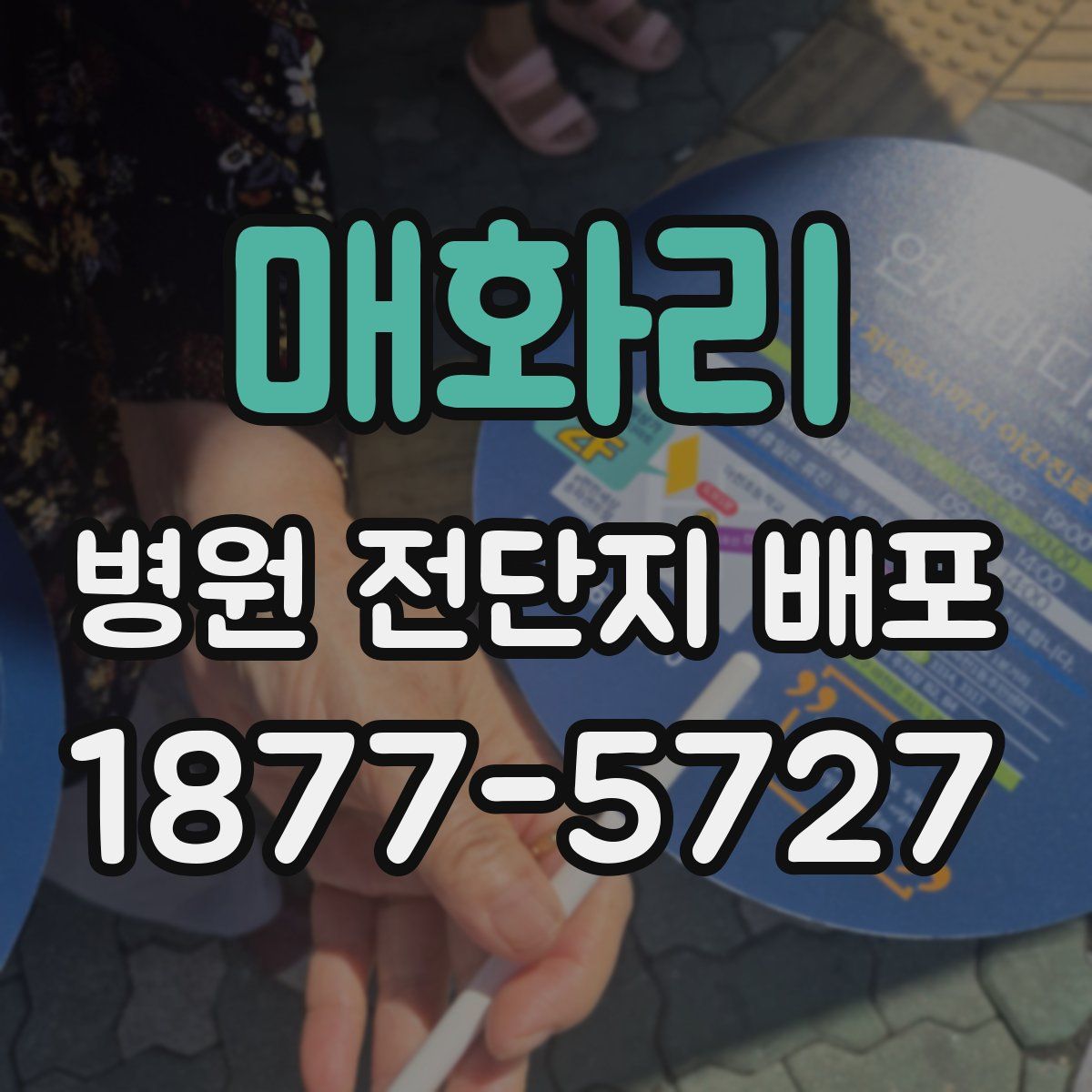 매화리 병원 전단지 배포