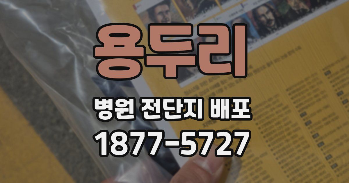 용두리 병원 전단지 배포