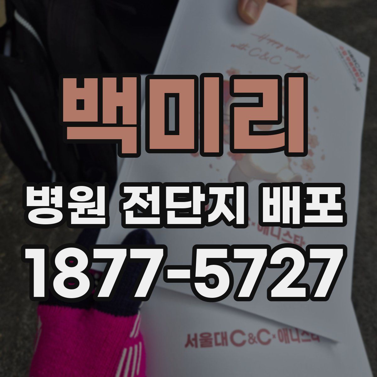 백미리 병원 전단지 배포