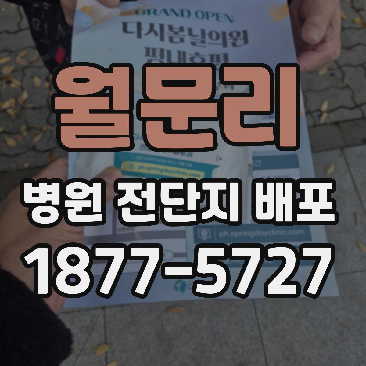 월문리 병원 전단지 배포