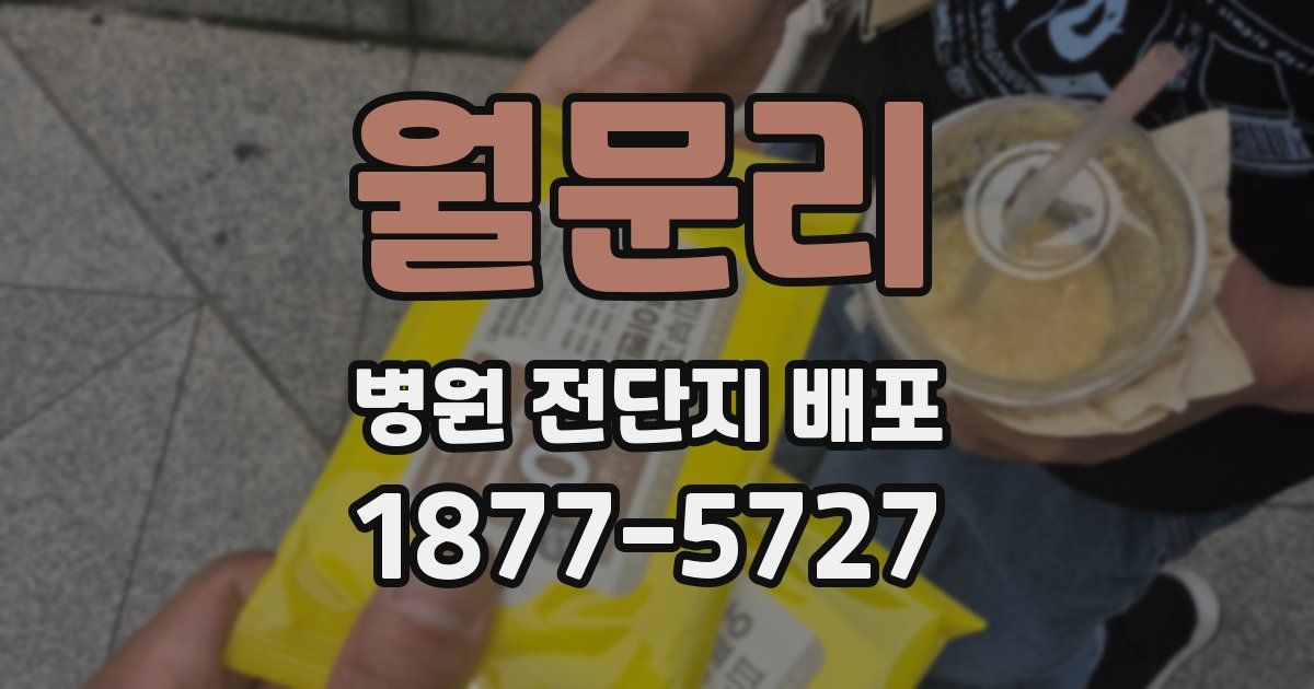 월문리 병원 전단지 배포