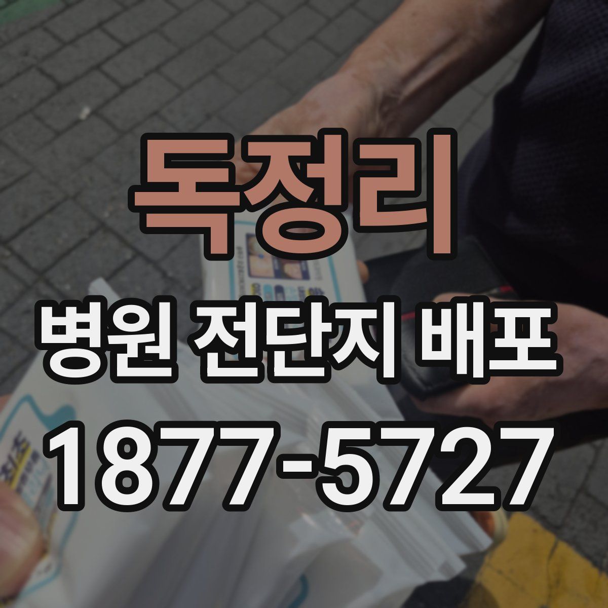 독정리 병원 전단지 배포