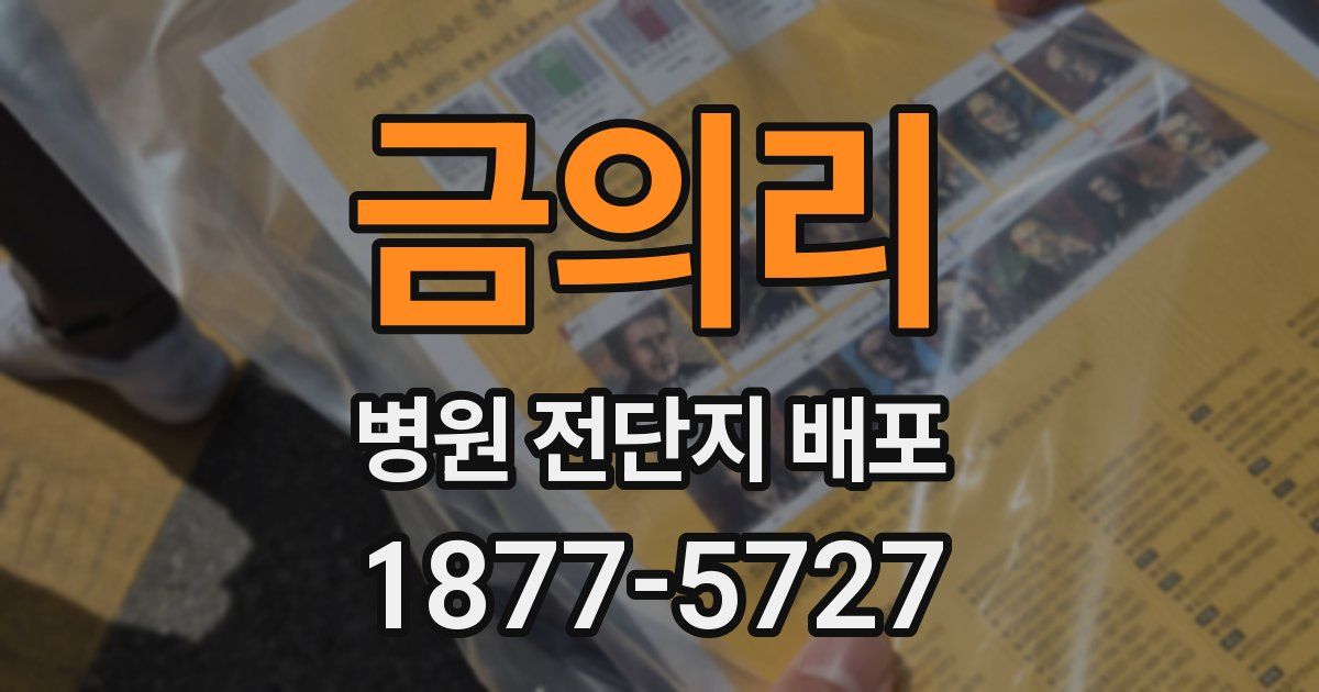 금의리 병원 전단지 배포