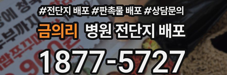 금의리 병원 전단지 배포