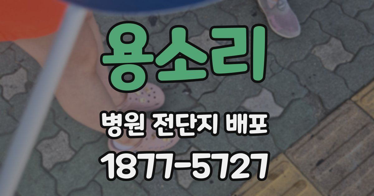 용소리 병원 전단지 배포