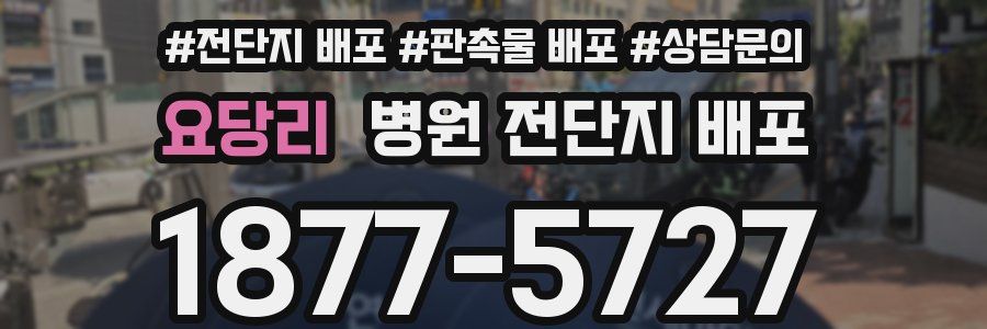 요당리 병원 전단지 배포