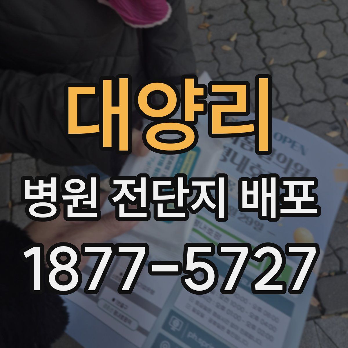대양리 병원 전단지 배포