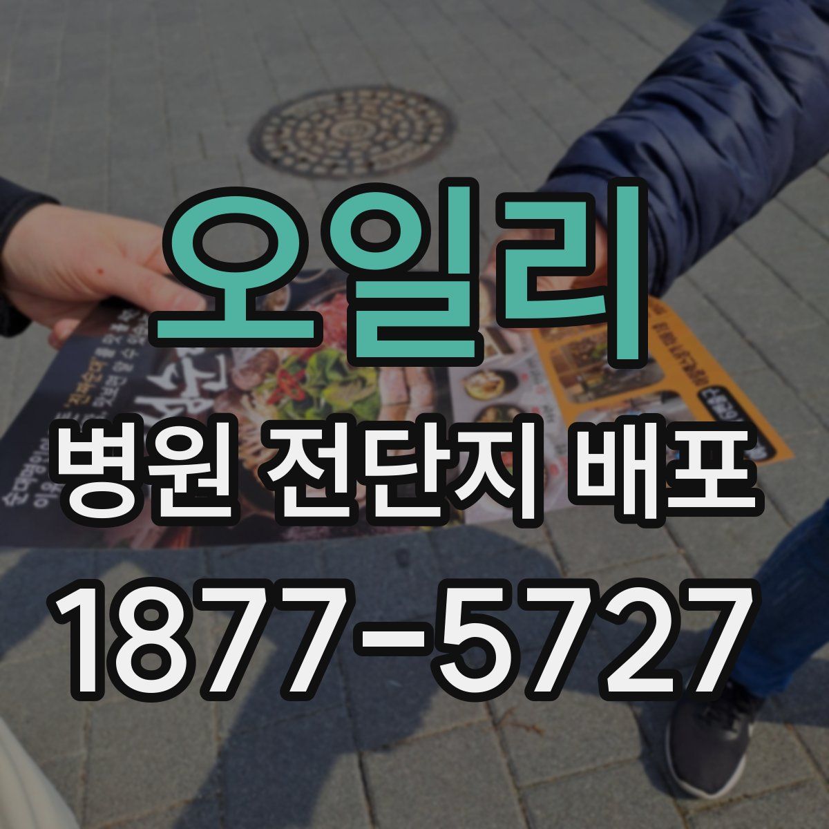 오일리 병원 전단지 배포