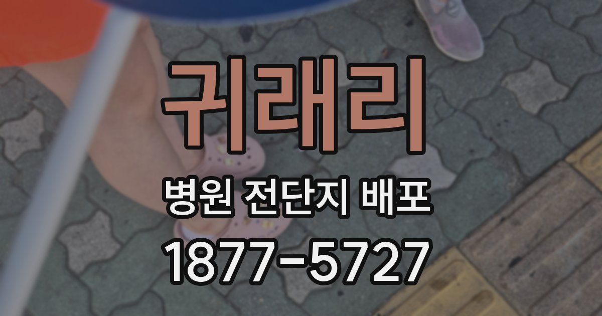 귀래리 병원 전단지 배포