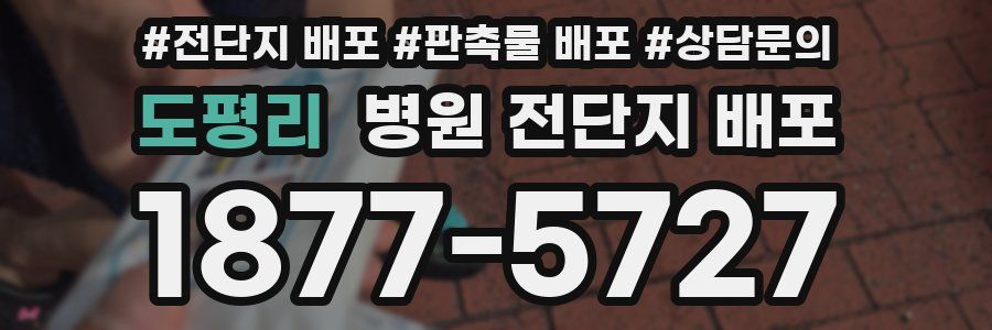 도평리 병원 전단지 배포