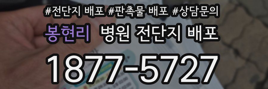 봉현리 병원 전단지 배포