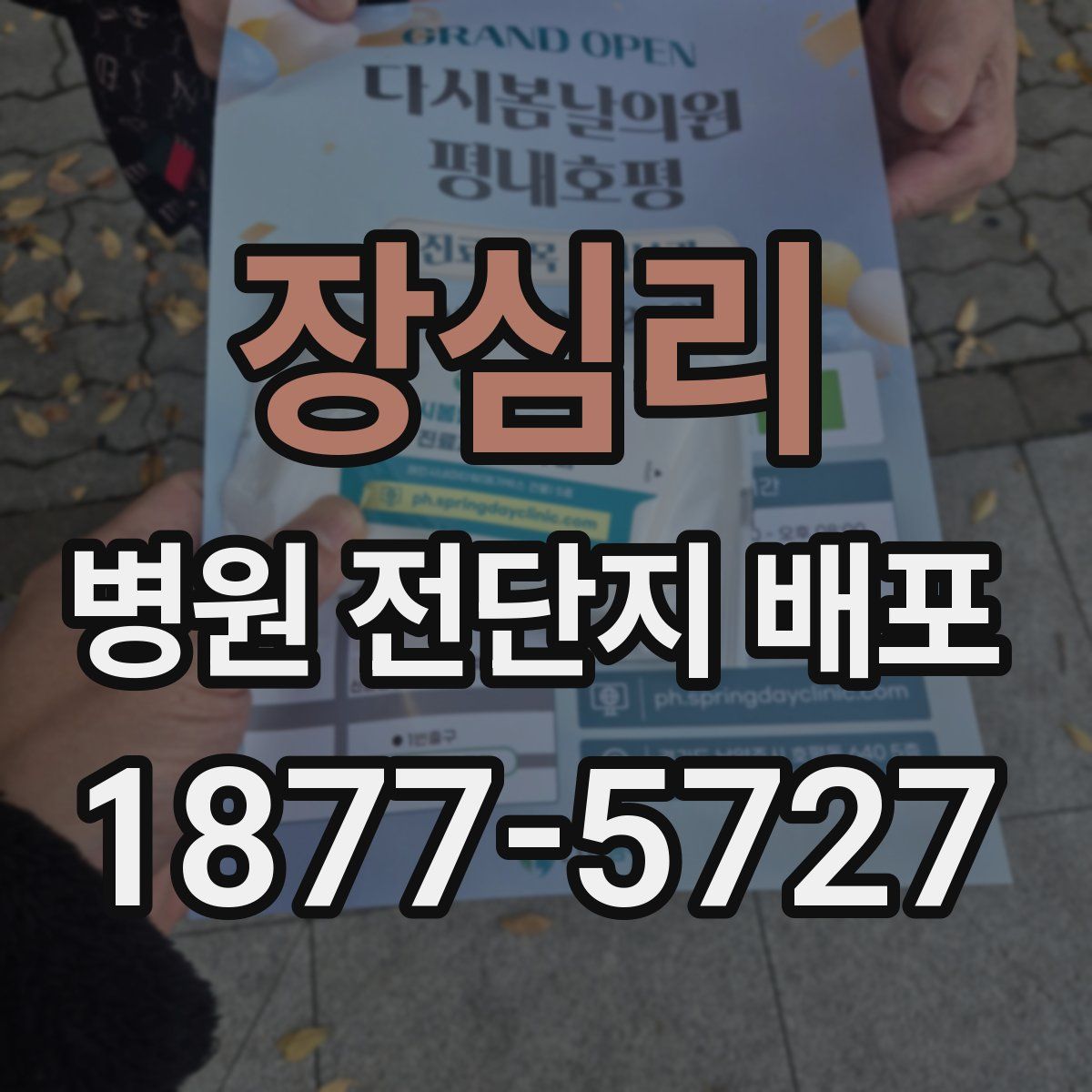 장심리 병원 전단지 배포