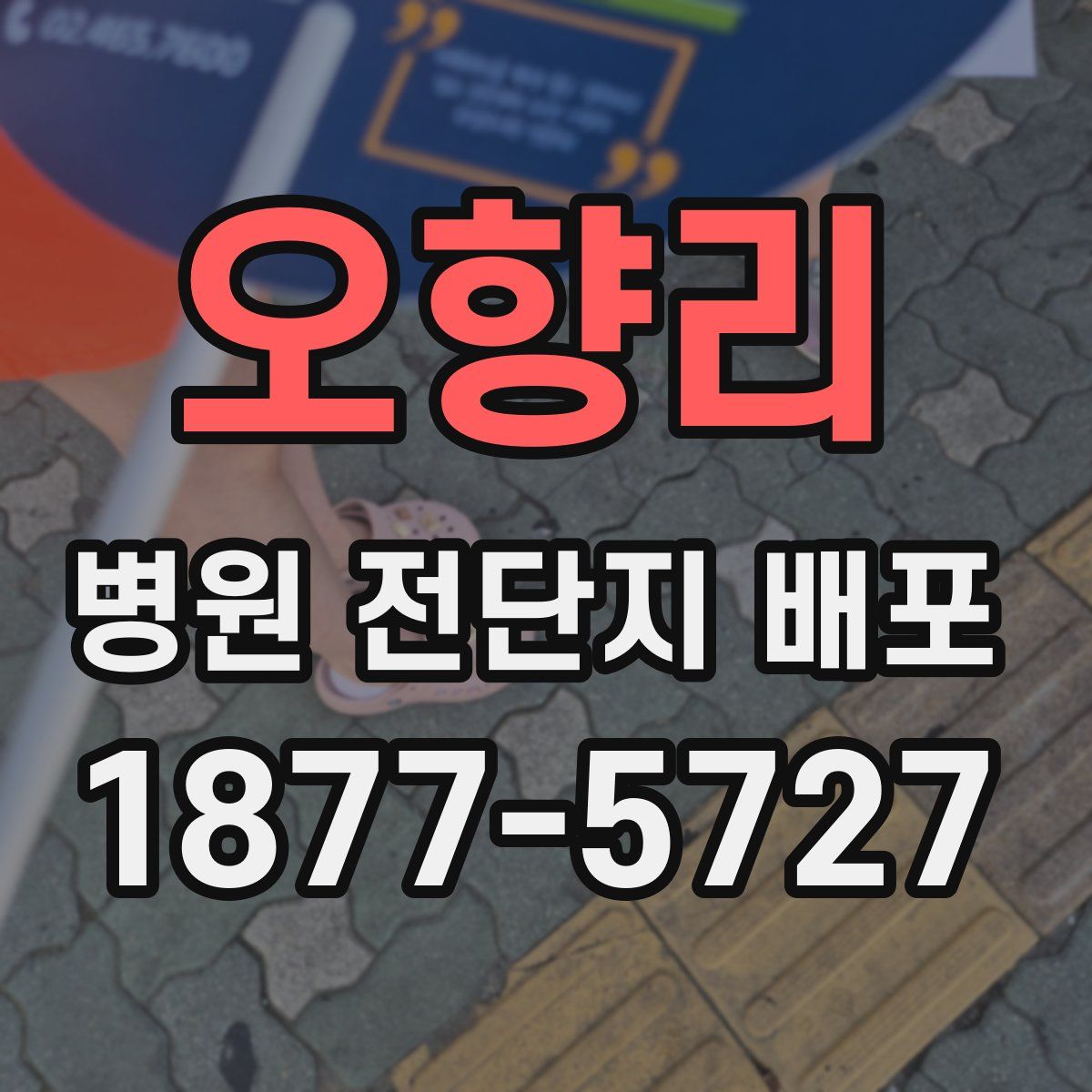 오향리 병원 전단지 배포