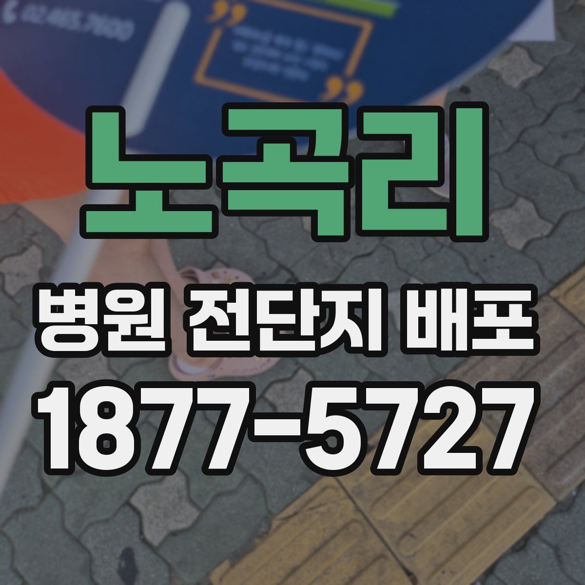 노곡리 병원 전단지 배포