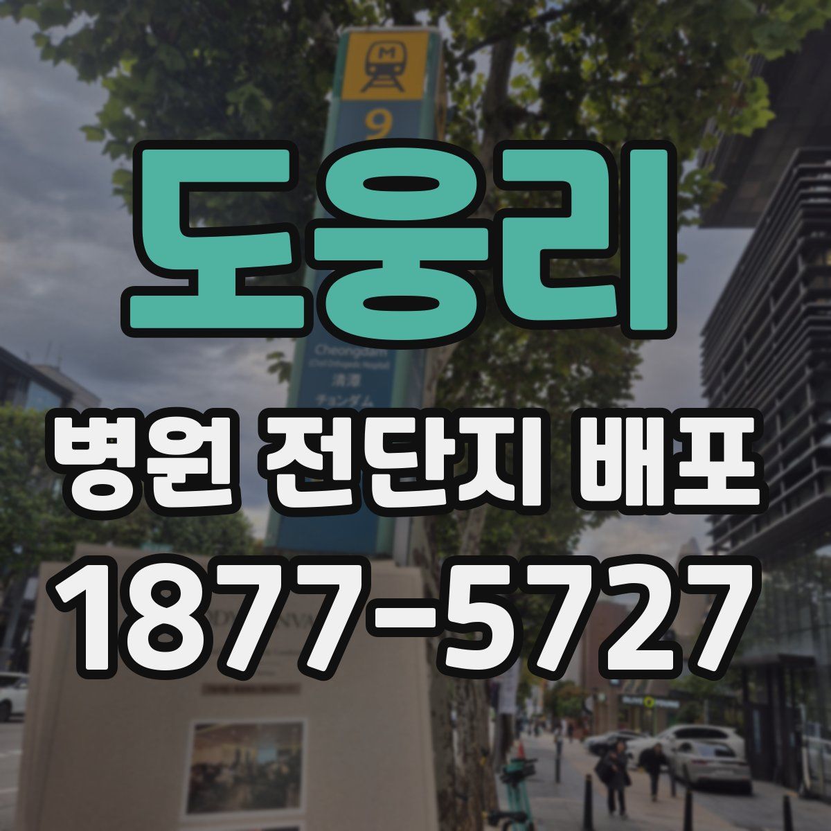도웅리 병원 전단지 배포