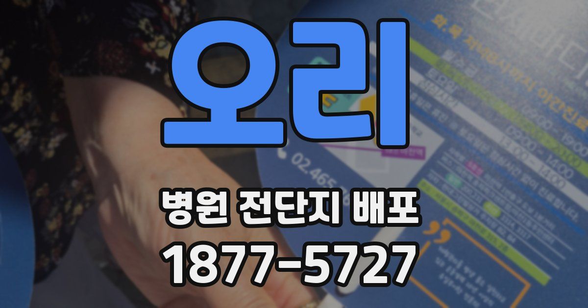 오리 병원 전단지 배포