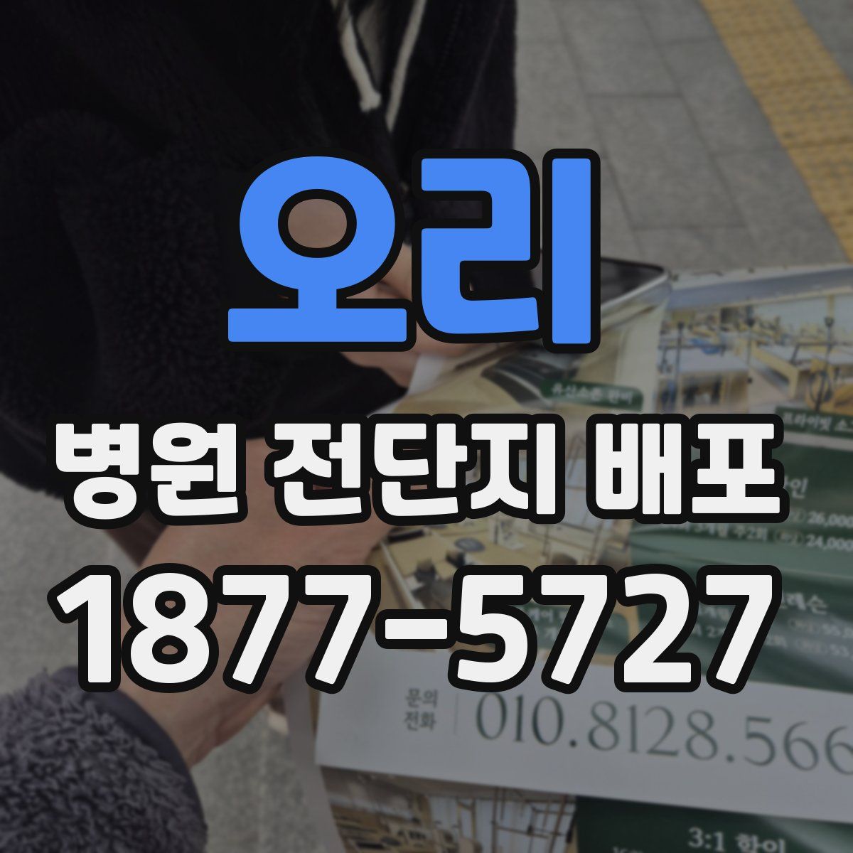 오리 병원 전단지 배포