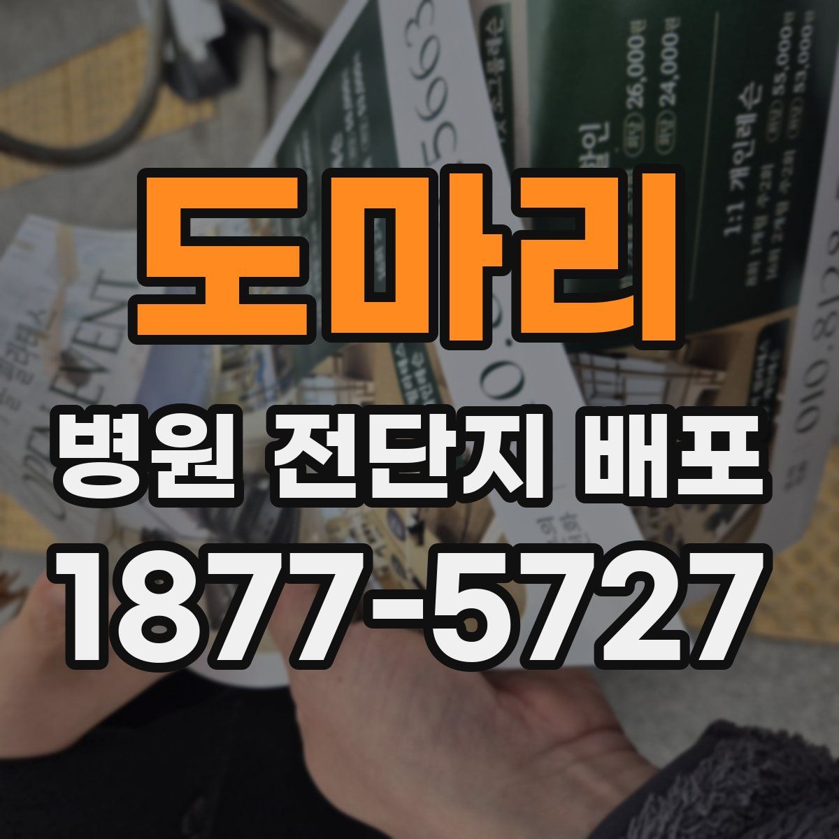 도마리 병원 전단지 배포