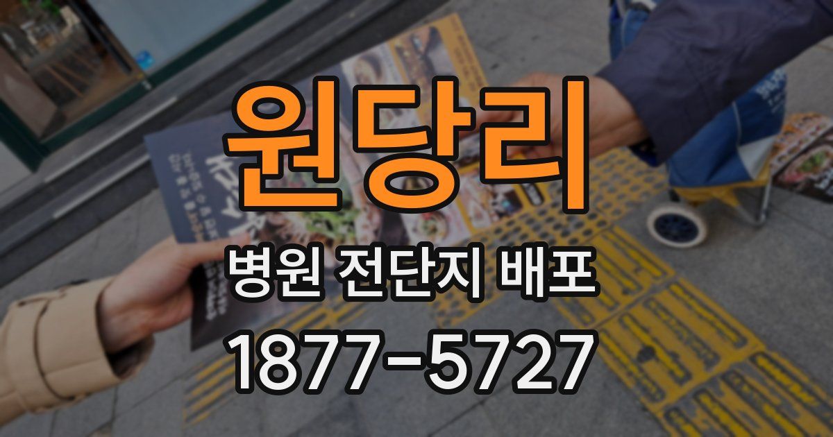 원당리 병원 전단지 배포