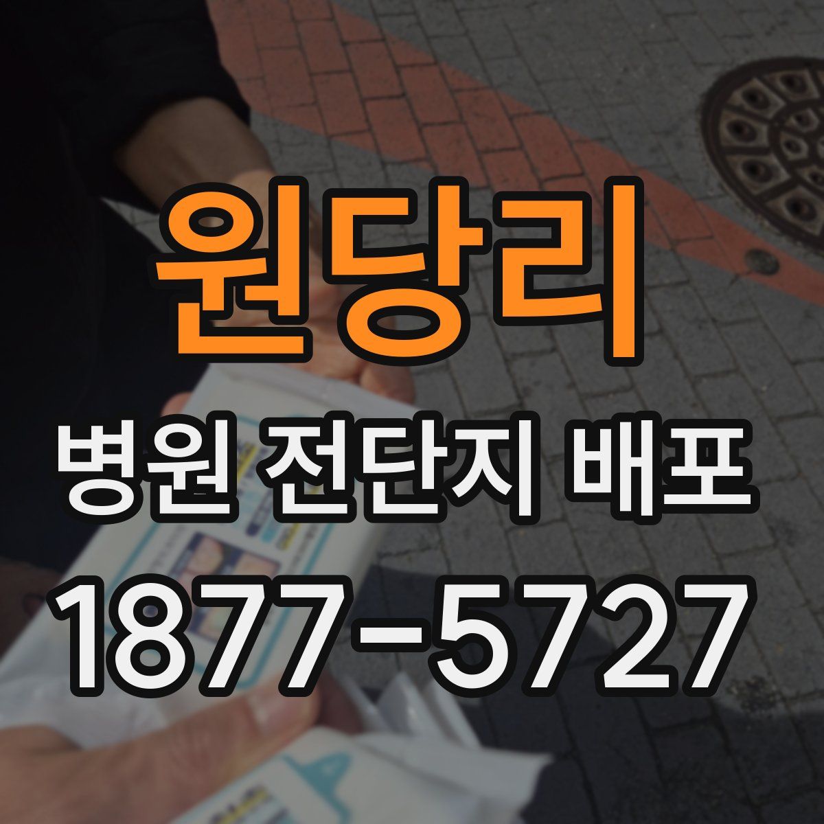 원당리 병원 전단지 배포