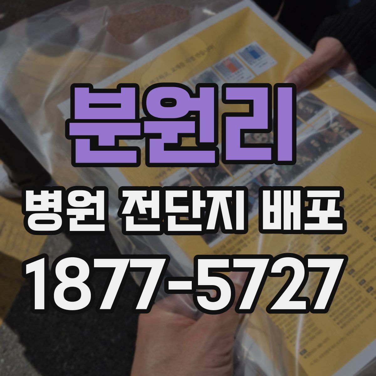 분원리 병원 전단지 배포