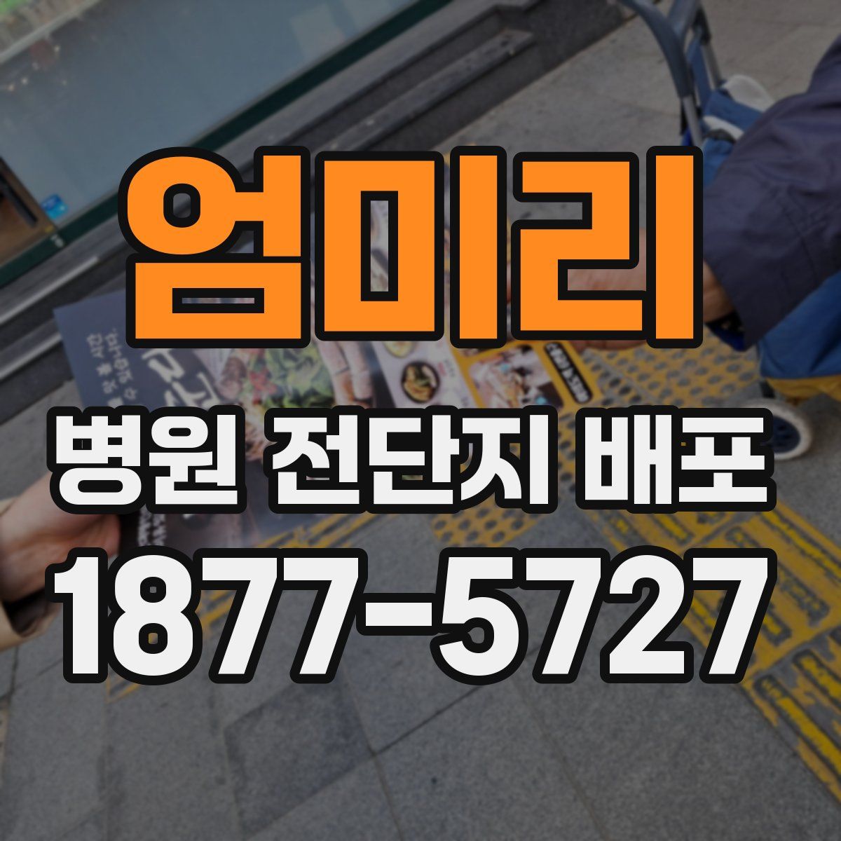 엄미리 병원 전단지 배포