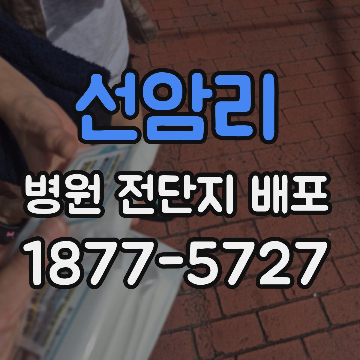 선암리 병원 전단지 배포