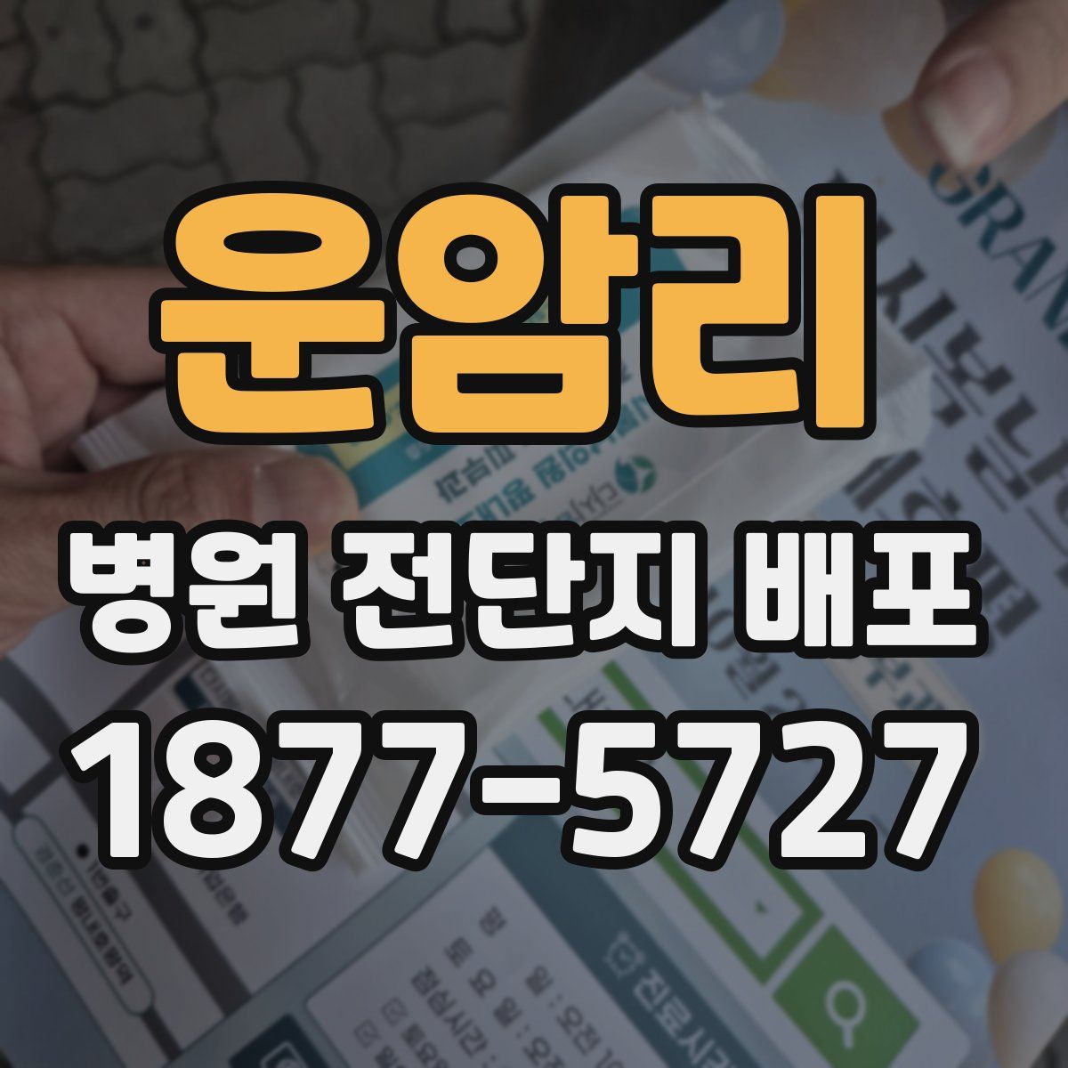 운암리 병원 전단지 배포
