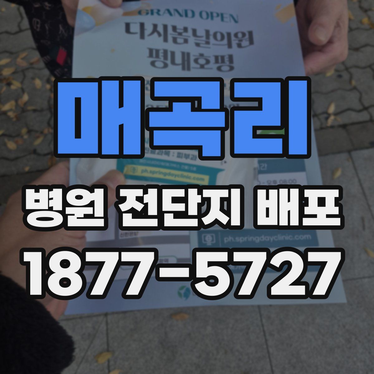 매곡리 병원 전단지 배포