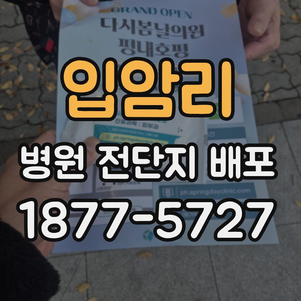 입암리 병원 전단지 배포