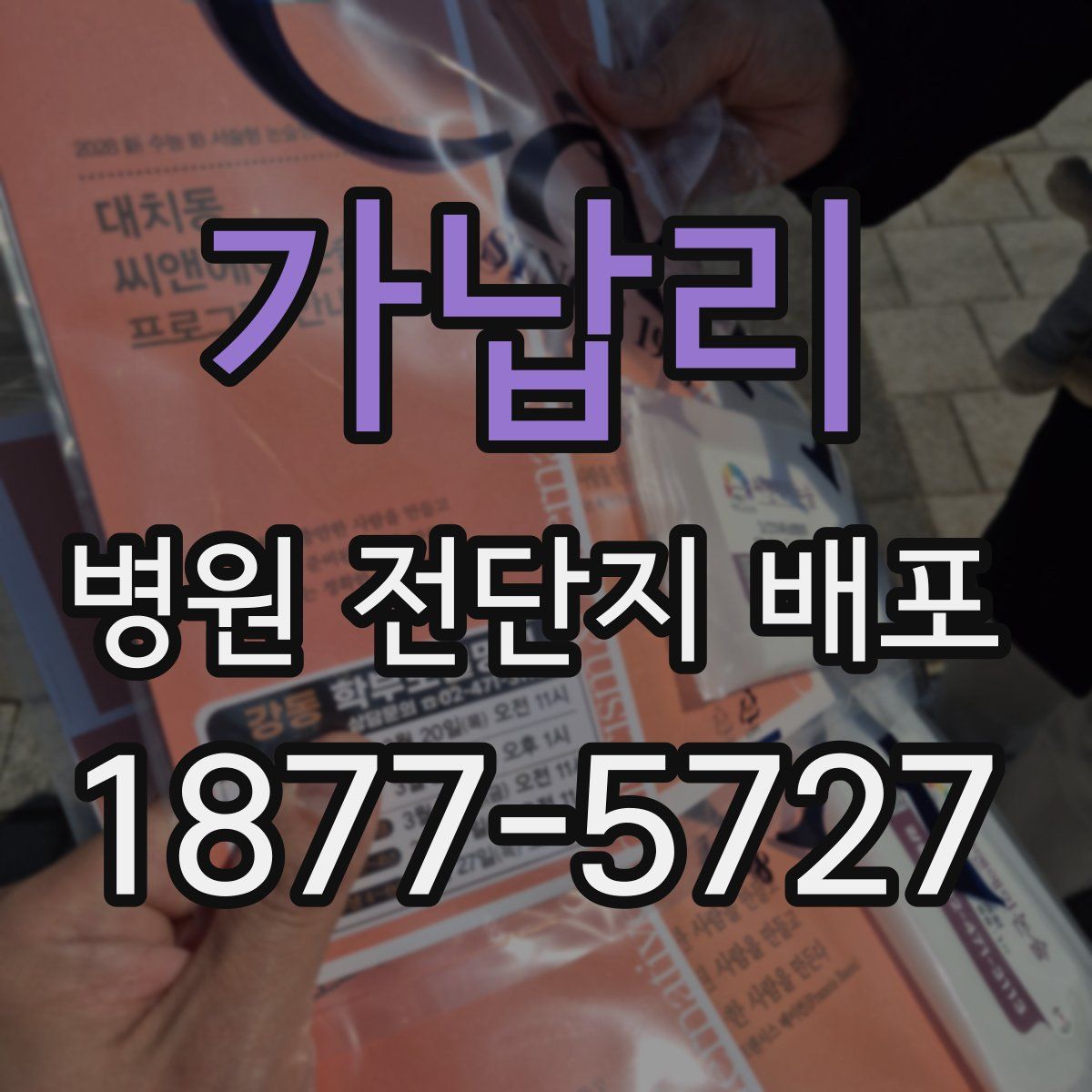 가납리 병원 전단지 배포