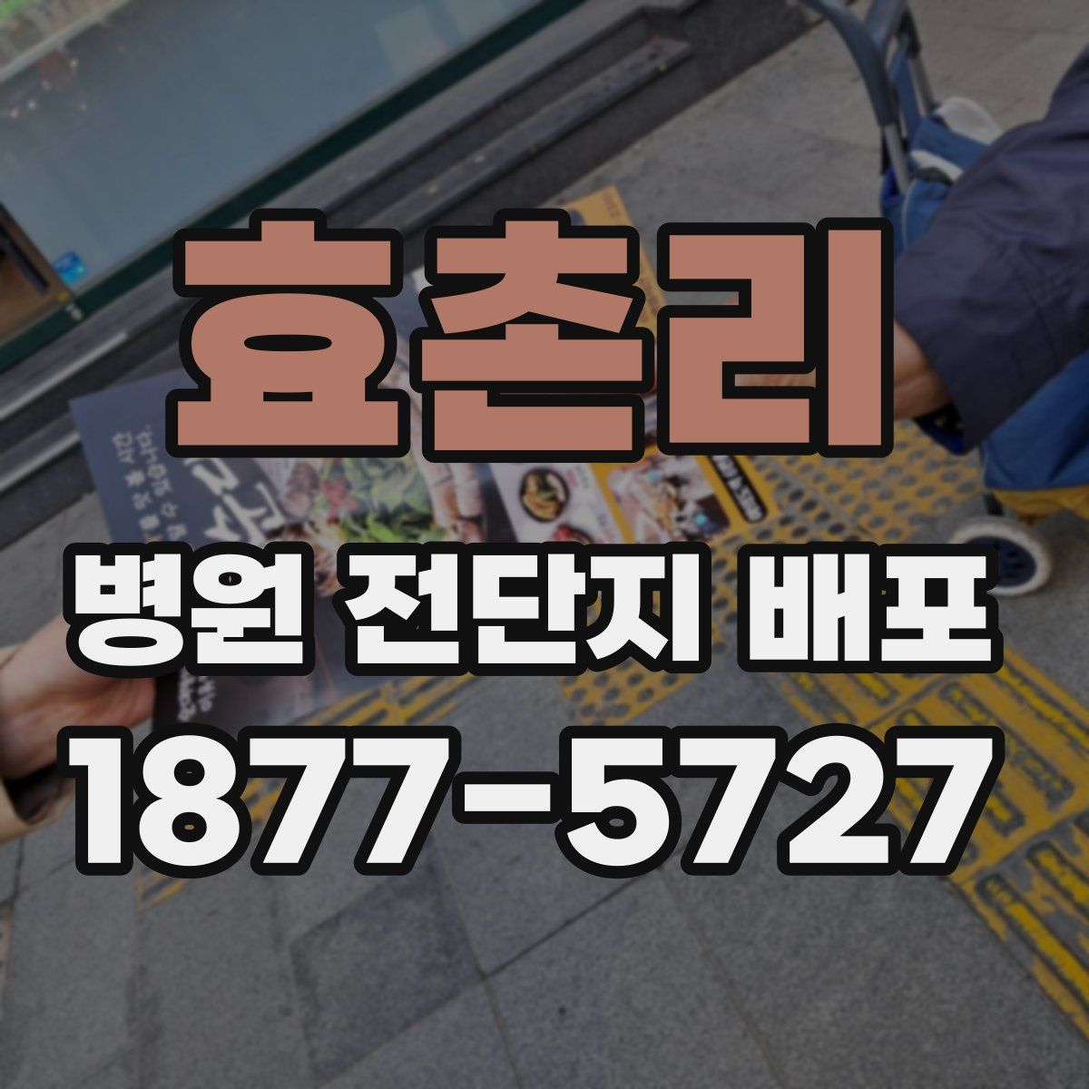 효촌리 병원 전단지 배포