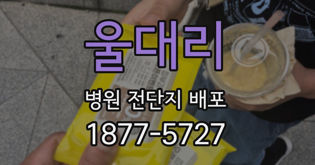 울대리 병원 전단지 배포