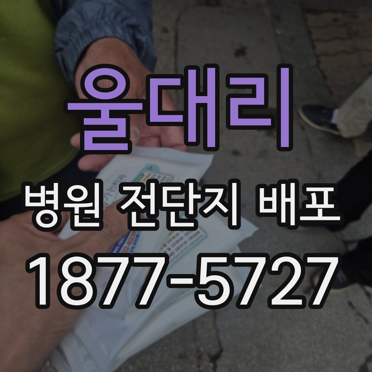 울대리 병원 전단지 배포