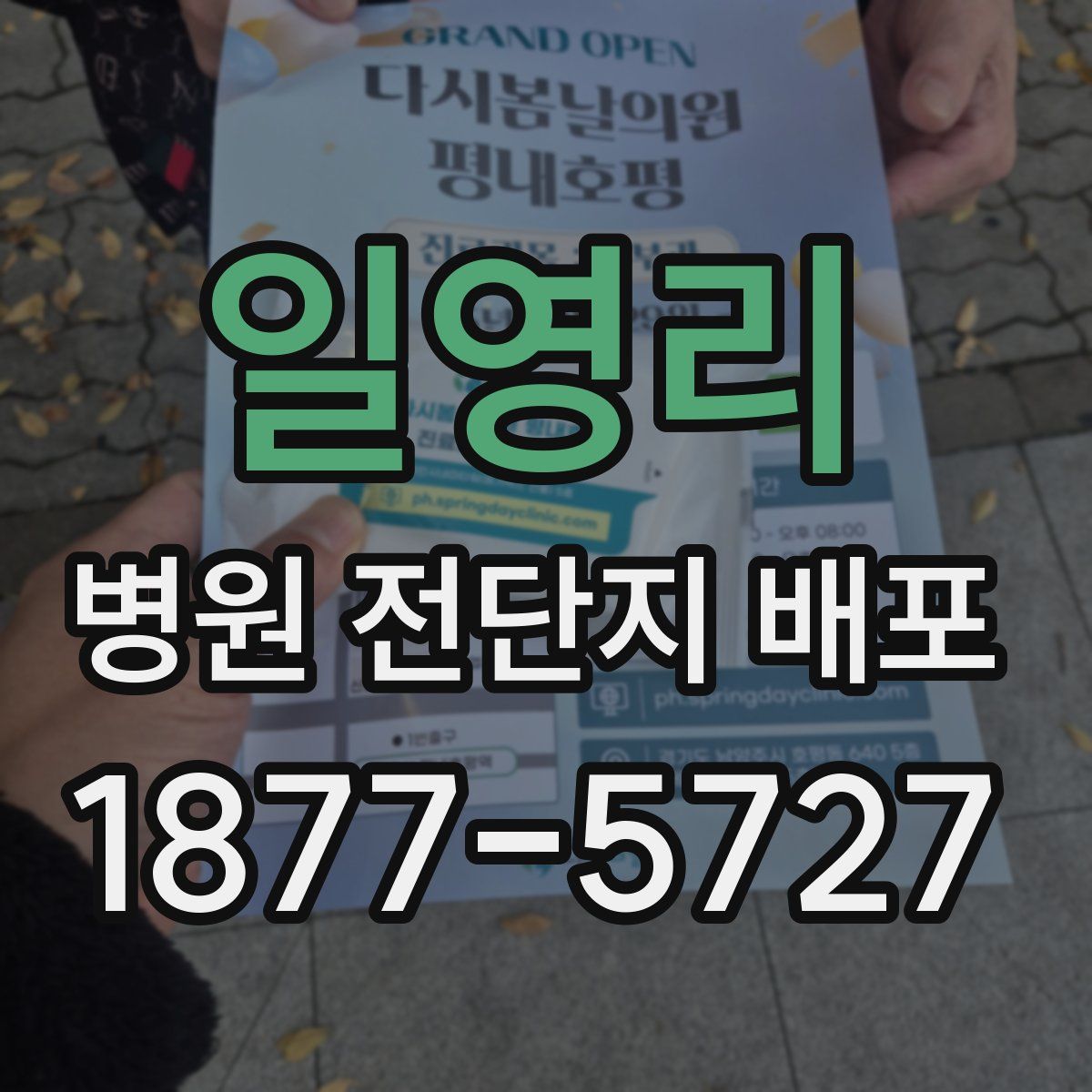 일영리 병원 전단지 배포