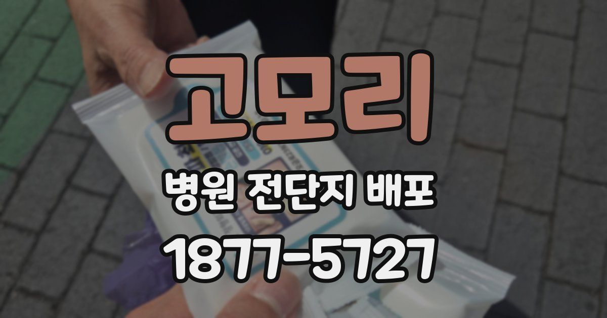 고모리 병원 전단지 배포